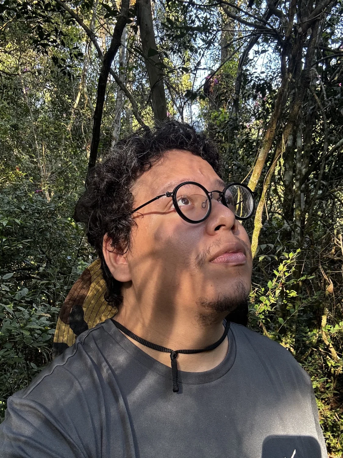 Gustavo Ferreira Amaral